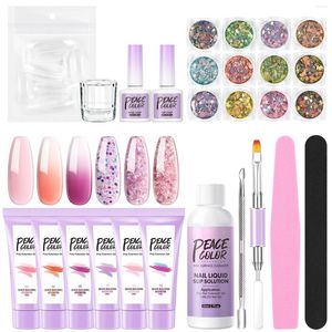 Nail Art Kits Gel Set Nails Pools met lamp Professionele UV Varnish transparante kristal vaste extensie manicure droger