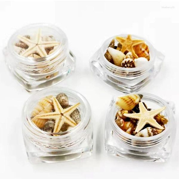 Kits de arte de uñas Pendiente de concha de concha natural Mini conchas para manualidades