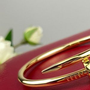 Nagelbangle voor vrouw man standaarddikte paar Bangle vergulde 18K armband T0p binnenomtrek maat 16-19cm ontwerper Exquisite Gift 007