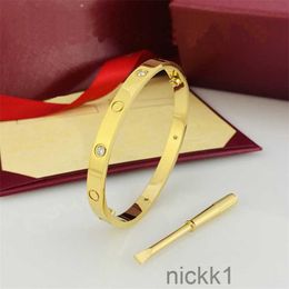 Nagelarmband Armbanden Designer voor dames h Luxe goud maat 16-22 roestvrij staal geschenkschroef 87ZX