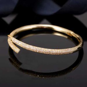 Nagelarmband Armbanden Zilver Rose Gouden Bangle Ingelegde Diamant Staal Designer voor Dames Heren Luxe Sieraden Geschenken Vrouw Meisje Groothandel ZDJP