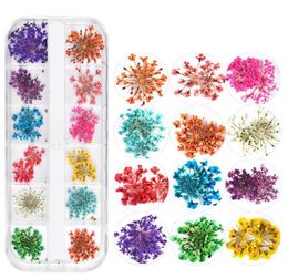 Nagel gedroogde bloemen 3D Nail Art Sticker voor tips manicure decor gemengde accessoires nagelbloemdecorateurs voor salon8933755