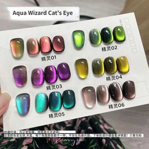Nail Gel Art Cats Eye 9d Chameleon Aqua 6 Colors Lacquer 6G Tank coloré Q240507
