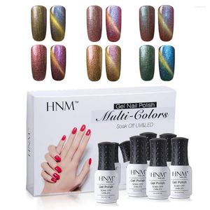 Nagelgel HNM 6 stks/partij Grote verkoop Chameleon 3D Cat Eyes UV-lakset Magnetische magneet Semi-permanente hybride Gellaklakkit