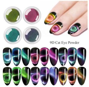 Paillette de ongles 1 boîte 02g 9d Cat Eye Magretic Powder Colorful Mirror Magnet Art Pigment DIY Designs Decoration9130145