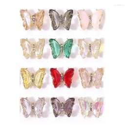 Nail Glitter 12 couleurs accessoires de bricolage costume bijoux d'art brillants pour papillon Rhi Drop