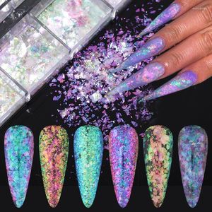 Nagel glitter 12 roosters holografische nagels aurora pailletten kristal vuurvlokken schitter charmes gel Poolse manicure decoratie