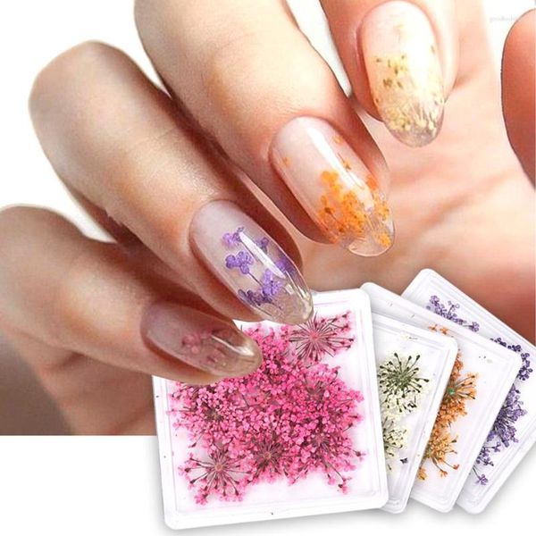 Nail Glitter 1Box Naturel Réel Fleur Sec Charme Decal 3D Coloré Pétale Curseur Manucure Gillter Élégant DIY Art Accessoires Outils JIS220