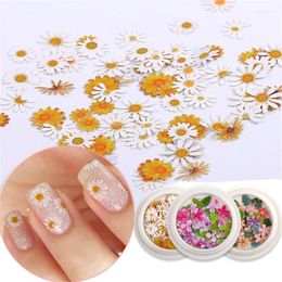 Brillo para uñas, manicura DIY, diseños de flores de Margarita, copos de rosas románticos, lentejuelas holográficas, arte ultrafino, lentejuelas Prud22