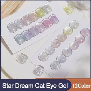 Vernis à ongles 12 couleurs ensemble Star Dream Cat Eye Gel vernis à ongles Semi Permanent Uv vernis Gel 15ML Nail Art effet pailleté hors vernis à ongles 230822