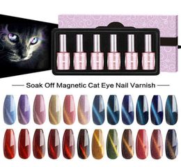 Vernis à ongles Mizhse 18ml 6pcSet 3d gel d'oeil de chat Fabrice de Varnish Varnish Hybride Semi-permanent Art Design T2208266571958