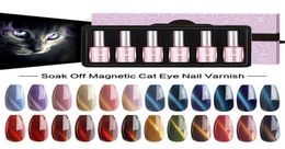 Nagellak MIZHSE 18ml 6pcsset 3D Cat Eye Gel Losweken UV Vernis Hybride Semi Permanente Art Design T2208269947900