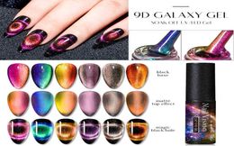 Nail Vision Nagellak 9D Cat039s Ooggel 5ml Galaxy Chameleon Gel Magnetische Semi Permanente Knipperende DIY Color2145082