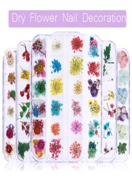 Nails Fleurs séchées Real Floral 3D Nail Art Decorations Autocollant Gel Polish Slider Natural DIY Design Accessoires Manucure Tools2877119