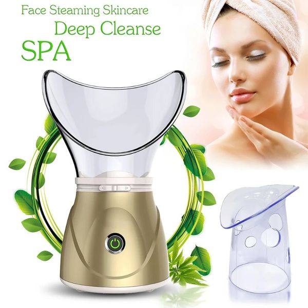 Nano Facial Steamer Spa Pores Papetter à vapeur Skin Beauty Clean Suana Mist Face Vaporisateur Humificador Face Steamer Machine 240409