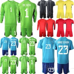 Selección Nacional Hombres Jóvenes España Portero David de Gea Jerseys Conjunto de fútbol 23-24 Manga larga Unai Simon Iker Casillas Reina Kepa Arrizabalaga David Raya Camiseta de fútbol