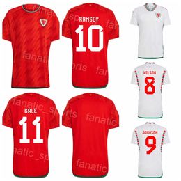 Selección nacional de Gales GUNTER Camiseta de fútbol Copa del mundo de Qatar AMPADU MORRELL WILSON WILLIAMS HENNESSEY MEPHAM BALE JOHNSON JAMES RAMSEY DAVIES Kits de camiseta de fútbol