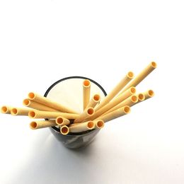 Natuurlijk 100% bamboe drink rietjes milieuvriendelijke duurzame bamboe rieth herbruikbare dranken stro voor feestkeuken 20 cm fy5303