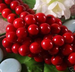 Perles rondes en corail rouge naturel de 10mm, en vrac, 15039039natural011672054