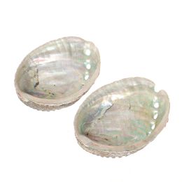 Coquilles d'ormeaux d'ormeaux naturels Home Aquarium Paysage DIY DÉCORD NUTICAL DES SOFE