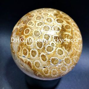 Boule de sphère d'agate de corail agatisée naturelle, artisanat, chrysanthème fossile, orbe de Jade