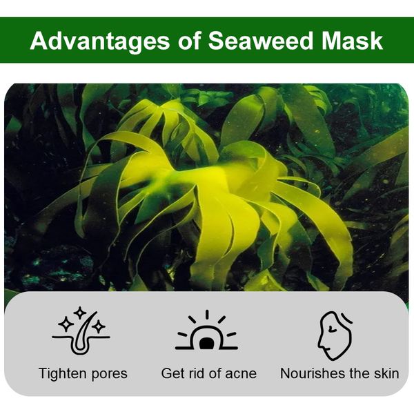Máscara de algas de semillas de algas naturales para la máscara de pelado de blanqueamiento nano puro polvo de perla poros anti acné belleza belleza cuidado de la piel