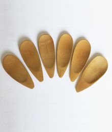Spoadas de té de cuchara de bambú natural mini mango corto cucharas de helado herramientas de té ecológicas1934899