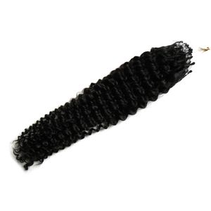 Natural Black Remy Micros Krullend Grade 7A Mongoolse Diepe Krullend Micro Loop Hair Extensions 100g 10 