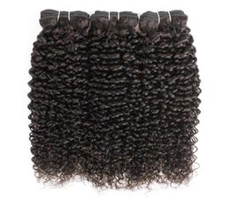 Natuurlijke Kleur 3 Bundels Jerry Krullend Human Hair Extensions Afro Stijl Braziliaanse Peruaanse Maleisische Indiase Remy Weft1356651