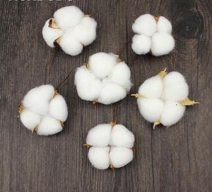 Tête de coton naturel fleur artificielle fleurs séchées pour la maison noël bricolage guirlande guirlande fleurs décoration murale GB744