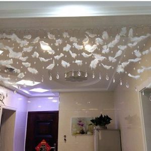 Rideau de plumes en cristal naturel, 1m de long, rideau de porte en plumes blanches, décorations de jardin pour la maison