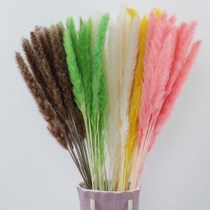 Natuurlijke gedroogde bloem Pampas Reed Woondecoratie Grijs Grote Bruiloft Layout Corner Shop Display Window Decoratie