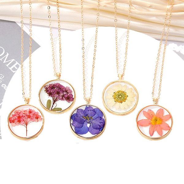 Colliers pendentif fleur séchée naturelle pour femmes boule de verre en résine transparente véritable fleur sèche colliers ronds bijoux