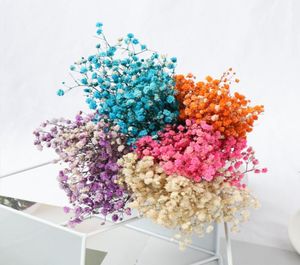 Fleurs naturelles fraîches séchées et conservées, branche de fleurs réelles pour toujours, pour bricolage, couronnes décoratives éternelles de 3035CM, 6016541