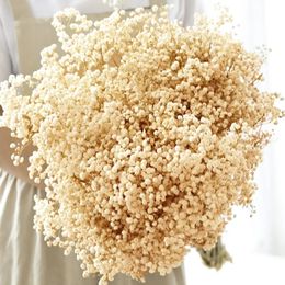 Fleurs de séchée frais naturelles Gypsophile éternel Bouquets Bouquets Saint Valentin Gift Boho Home Decor Paniculata 240325