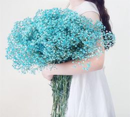 Fleurs de séchée frais naturelles gypsophile paniculata baby039s bouquets de fleurs haleine cadeaux pour décoration de mariage home de6128744