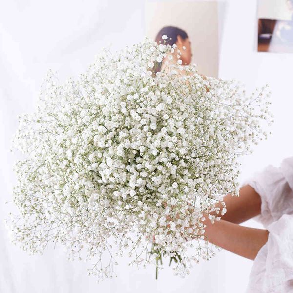 Flores naturales frescas secas conservadas Gypsophila Paniculata Ramos de flores para el aliento del bebé Regalo para la decoración del hogar del banquete de boda