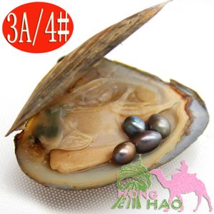 Ostras de perlas naturales de agua dulce 6-8 mm 4 piezas # 4 gris en paquete de vacío de ostra triangular regalo sorpresa para la familia