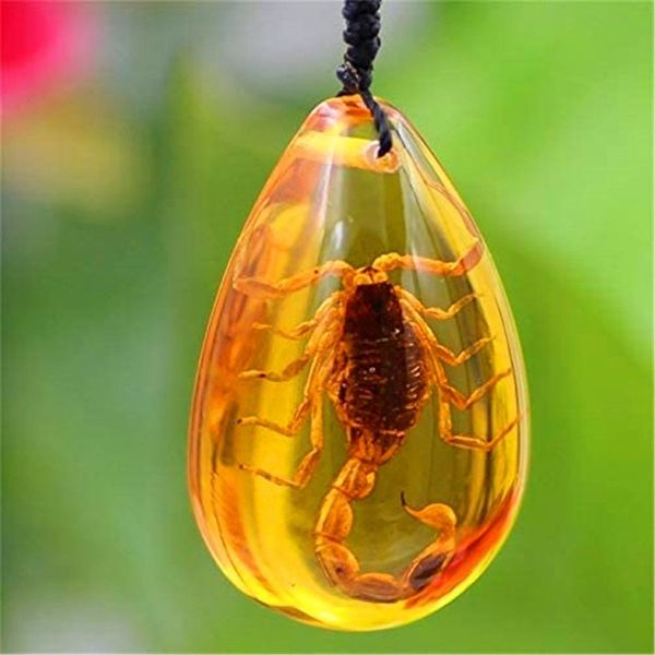 Collier pendentif en pierre d'insecte naturelle ambre de la baltique, décoration de la maison, cadeau de voyage de mariage 208U