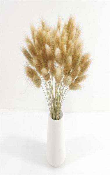 Naturel Pampas lapin queue herbe fleurs séchées préservé fête de mariage bricolage artisanat Scrapbook Bouquet noël pâques décoration215j4671674