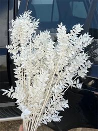 Ramo de flores secas con hojas de ruscus reales naturales, ramas de eucalipto blanco para decoración de la habitación del hogar, decoración de arreglos de boda 240130