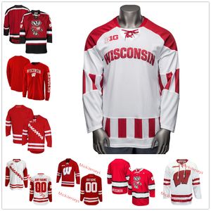 NCAA Wisconsin Stitched Hockey Jersey 5 Tyler Inamoto 16 Tarek Baker 17 Ty Pelton-Byce (A) 4 Dylan Holloway 2 Daniel Laatsch 3 Sam Stange 4 Corson Ceulemans