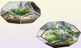 Ncyp en verre moderne terrarium Pot de fleur or or géométrique terrarium bonsaï pots planter planter bourse affichepot fleur y2007236439650