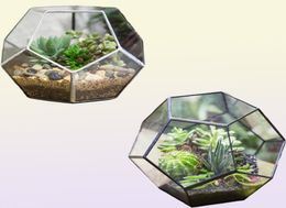 NCYP Modern Glass Terrarium Bloempot Goud Geometrisch Terrarium Bonsai Flower Potten Plant Planter Desktop Display Flowerpot Y2007231522453