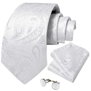Neck Tie Set Elegant White Paisley Silk Ties for Men Luxury Wedding Party accessoires de marié