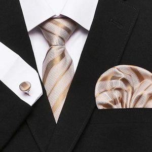 Set à cravate de cou Jacquard Brand de mode festif Affiche de soie présente Silk Tie à bouffée