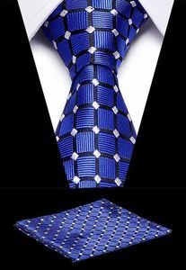 Nek Tie Set Men Blue Plaid Bussiness Silk Tie zakdoek ingesteld voor formeel Bussiness Party