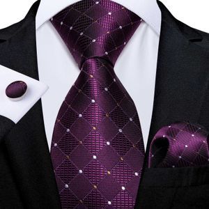 Nekbanden 2023 Nieuwe paarse heren stropdas