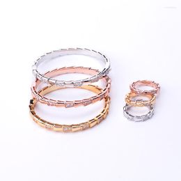 Collier Boucles D'oreilles Ensemble Europe Amérique Style De Mode Femmes Dame Plaqué Or Couleur Paramètres Alternatifs Cubic Zircon Snake Snakelike Ring Bangle