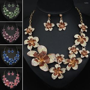 Ketting Oorbellen Set Mode Veelkleurige Bloem Oorbel Bruidskristal Verklaring Choker Strass Bib Bruiloftsfeest